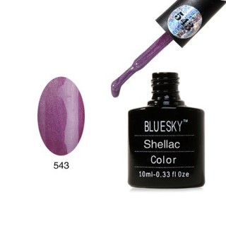 Bluesky  Shellac 40543