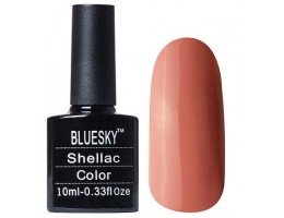 Bluesky  Shellac 40571